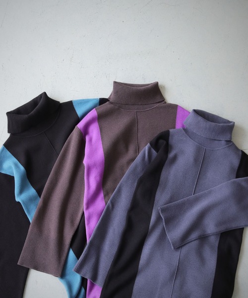 cheriella（シェリエラ）の「【cheriella】WEB限定サイド配色ワンピース（ワンピース・レディース・ダークブラウン/ブラック/ダークネイビー・M）」の5枚目の写真