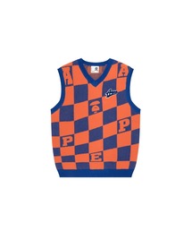 AAPE KINT VEST