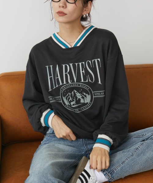 Auntie Rosa Holiday(アンティローザホリデー)の「リブラインVネックスウェットプルオーバー(スウェット・レディース・グレー/チャコールグレー/ボルドー・FREE)」の17枚目の写真