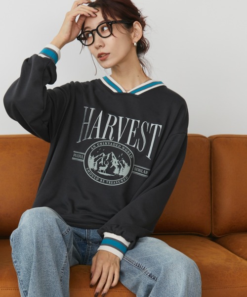 Auntie Rosa Holiday(アンティローザホリデー)の「リブラインVネックスウェットプルオーバー(スウェット・レディース・グレー/チャコールグレー/ボルドー・FREE)」の18枚目の写真