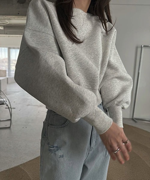 WILLFULLY（ウィルフリー）の「one point embroidery stud sweat tops（スウェット・レディース・セージグリーン/オートミール/ベージュ系その他・FREE）」の5枚目の写真