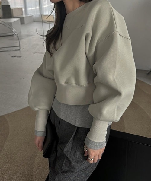 WILLFULLY（ウィルフリー）の「one point embroidery stud sweat tops（スウェット・レディース・セージグリーン/オートミール/ベージュ系その他・FREE）」の21枚目の写真