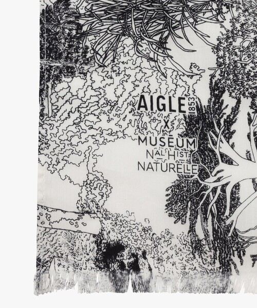 AIGLE（エーグル）の「【国立自然史博物館】 ストール（ストール/ショール・レディース・モスグリーン/ホワイト・FREE）」の9枚目の写真