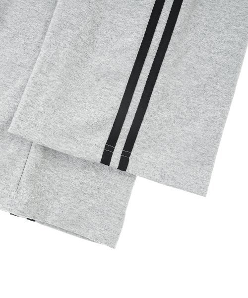 GAKKAI UNIONS(ガッカイユニオンズ)の「ワイドスウェットパンツグレー(スウェットパンツ・レディース・その他・SMALL/MEDIUM/LARGE)」の3枚目の写真
