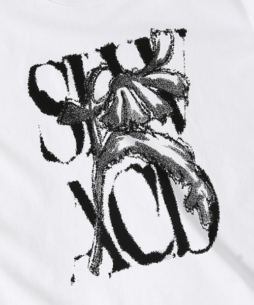 SLOWACID（スローアシッド）の「ラスティロゴ半袖Tシャツ[ホワイト]（Tシャツ/カットソー・レディース・その他・LARGE/MEDIUM/SMALL/X-LARGE）」の7枚目の写真