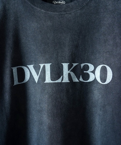 DEVILOCK(デビロック)の「DEVILOCK Sun Faded Vintage Logo Tee(Tシャツ/カットソー・メンズ・カーキ/ネイビー/ブラック・MEDIUM/X-LARGE/LARGE)」の14枚目の写真