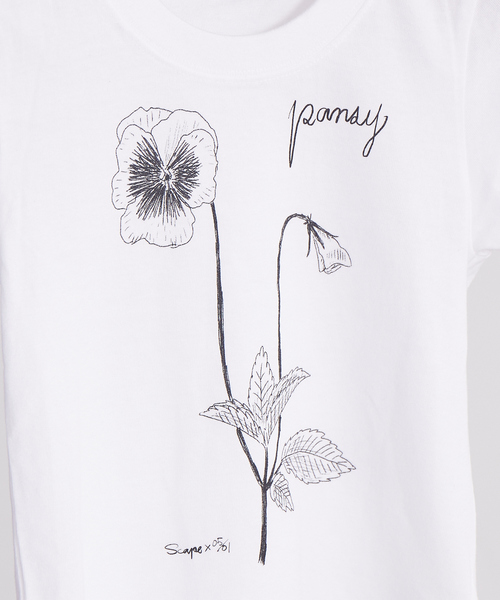 qualite(カリテ)の「【限定】0501PansyTシャツ kids(Tシャツ/カットソー・レディース・ホワイト・32/34)」の12枚目の写真