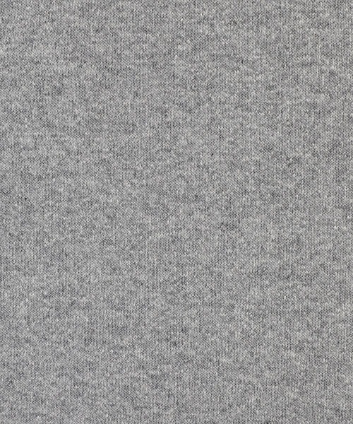 GOLD（ゴールド）の「東洋エンタープライズ GOLD / ゴールド：LOOPWHEEL SWEAT PULLOVER PARKA DAMAGE AGED：23A-GL69096[MUS]（パーカー・メンズ・ヘザーグレー/ブラック/レッド・L）」の20枚目の写真