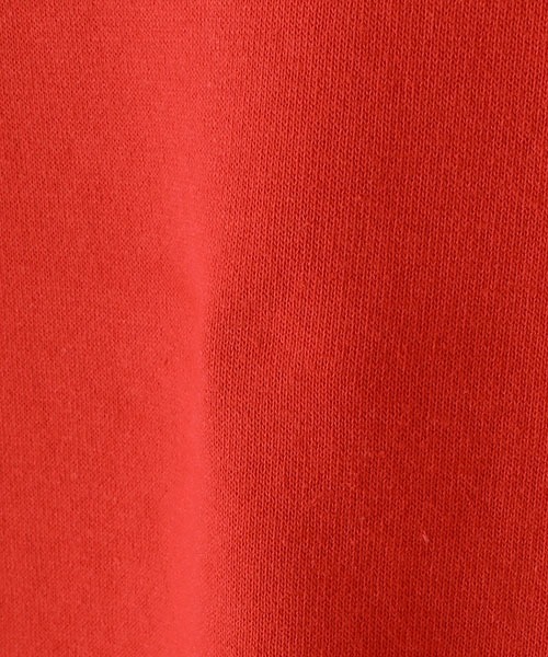 GOLD（ゴールド）の「東洋エンタープライズ GOLD / ゴールド：LOOPWHEEL SWEAT PULLOVER PARKA DAMAGE AGED：23A-GL69096[MUS]（パーカー・メンズ・ヘザーグレー/ブラック/レッド・L）」の10枚目の写真