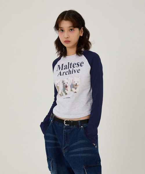 WaiKei(ワイケイ)の「【UNISEX】Wai Kei/マルチーズラグランロングTシャツ(選べる着丈) 2115390(Tシャツ/カットソー・レディース・アイボリー/ライトグレー・SMALL/MEDIUM)」の16枚目の写真