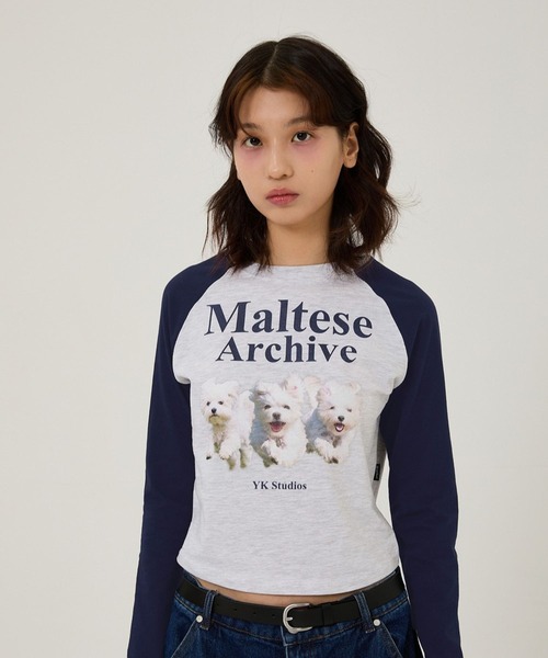 WaiKei(ワイケイ)の「【UNISEX】Wai Kei/マルチーズラグランロングTシャツ(選べる着丈) 2115390(Tシャツ/カットソー・レディース・アイボリー/ライトグレー・SMALL/MEDIUM)」の17枚目の写真