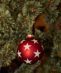 niko and...(jRAh)́y2024Xmasz}bgX^[I[ig(CeAG)