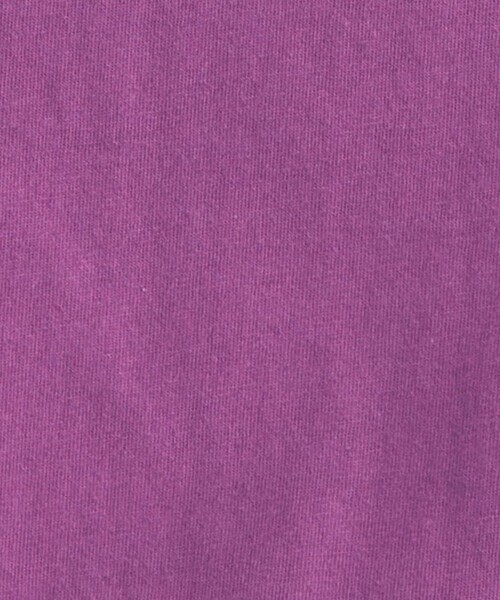 Champion（チャンピオン）の「【別注】＜Champion＞プリント Tシャツ（Tシャツ/カットソー・レディース・パープル/ブラック/ナチュラル/グレー/オフホワイト/ライム・FREE）」の11枚目の写真