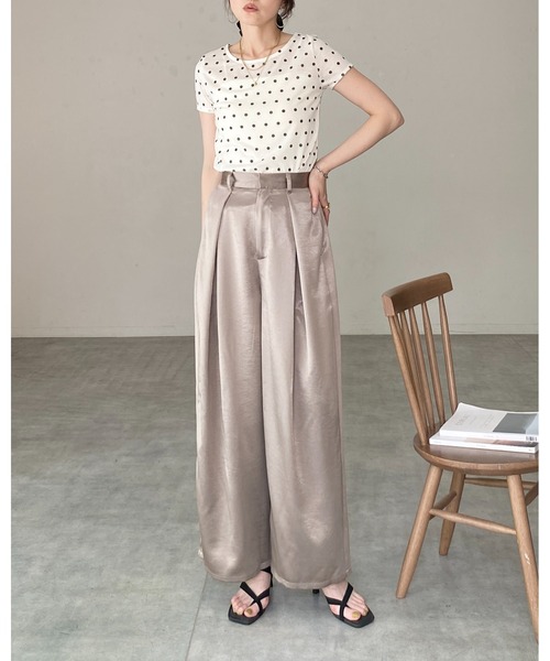 She's Closet(シーズクローゼット)の「ドット柄 半袖 コンパクト ショート丈 シアーTシャツ トップス(Tシャツ/カットソー・レディース・ブラック/グレー/ブラウン/オフホワイト・FREE)」の22枚目の写真