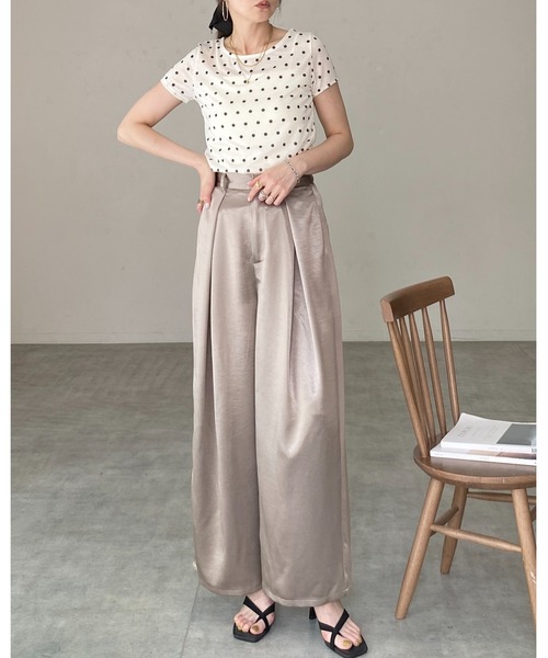 She's Closet(シーズクローゼット)の「ドット柄 半袖 コンパクト ショート丈 シアーTシャツ トップス(Tシャツ/カットソー・レディース・ブラック/グレー/ブラウン/オフホワイト・FREE)」の21枚目の写真