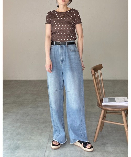 She's Closet(シーズクローゼット)の「ドット柄 半袖 コンパクト ショート丈 シアーTシャツ トップス(Tシャツ/カットソー・レディース・ブラック/グレー/ブラウン/オフホワイト・FREE)」の17枚目の写真