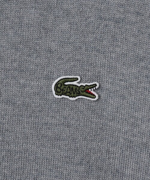 BEAMS GOLF(ビームスゴルフ)の「〈MEN〉【別注】LACOSTE / ロングスリーブ ニット ポロ(ポロシャツ・メンズ・ブラック/グレー/ブラウン/レッド系その他7・L/M/XL/S)」の15枚目の写真