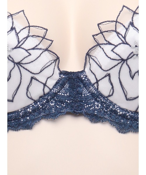 専用　ルジェブラジャーアイスグレー 系花柄レース プッシュアップブラF75２枚 専用 ルジェブラジャーアイスグレー 系花柄レース プッシュアップブラ