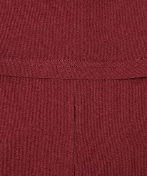 ECOCYCLE(エコサイクル)の「ELEVATED SS TEE_RED(サイドシームあり)(Tシャツ/カットソー・メンズ・レッド系その他/レッド系その他3/レッド/レッド系その他4/レッド系その他2・XL/S/L/M/XS/XXL)」の10枚目の写真