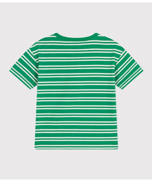 PETIT BATEAU(プチバトー)の「ボーダー半袖Tシャツ(Tシャツ/カットソー・キッズ・ブラウン系その他/グリーン系その他・8YEAR/12YEAR/10YEAR/6YEAR)」の6枚目の写真