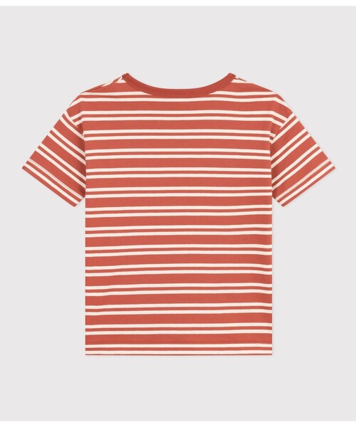 PETIT BATEAU(プチバトー)の「ボーダー半袖Tシャツ(Tシャツ/カットソー・キッズ・ブラウン系その他/グリーン系その他・8YEAR/12YEAR/10YEAR/6YEAR)」の9枚目の写真