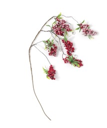 niko and...(jRAh)́y2024Xmaszx[u`/S70cm(CeAG)