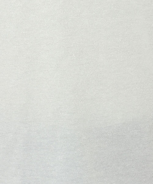 LOWRYS FARM(ローリーズファーム)の「プチラメTEE 499872(Tシャツ/カットソー・レディース・シルバー/ゴールド/ブラック・FREE)」の21枚目の写真
