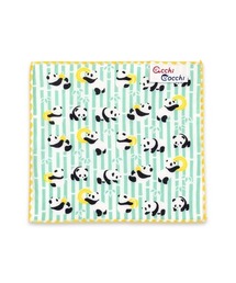 BACKYARD FAMILY(obN[ht@~[)̃nJ` acchi cocchi(^I)