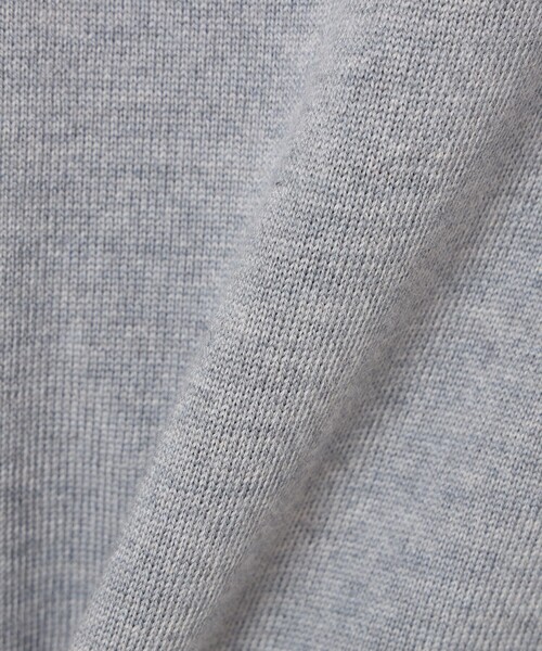 BEAMS GOLF(ビームスゴルフ)の「〈WOMEN〉【別注】LACOSTE / ロングスリーブ ニット ポロ(ポロシャツ・レディース・レッド系その他7/ブラック/グレー/ブラウン・XS)」の8枚目の写真