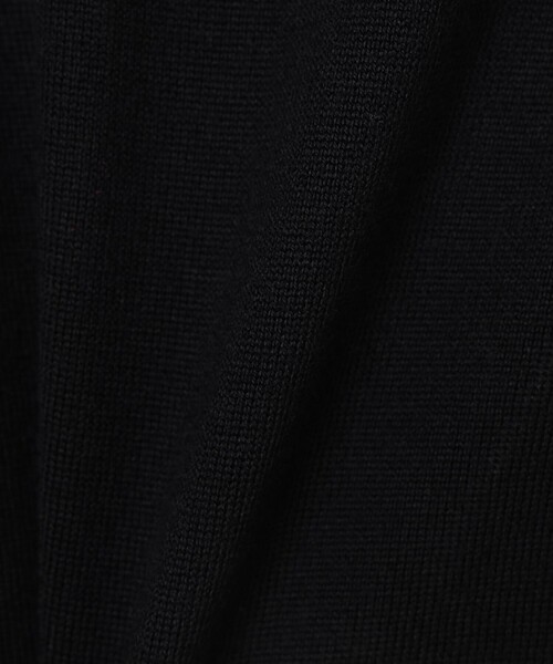 BEAMS GOLF(ビームスゴルフ)の「〈WOMEN〉【別注】LACOSTE / ロングスリーブ ニット ポロ(ポロシャツ・レディース・レッド系その他7/ブラック/グレー/ブラウン・XS)」の11枚目の写真