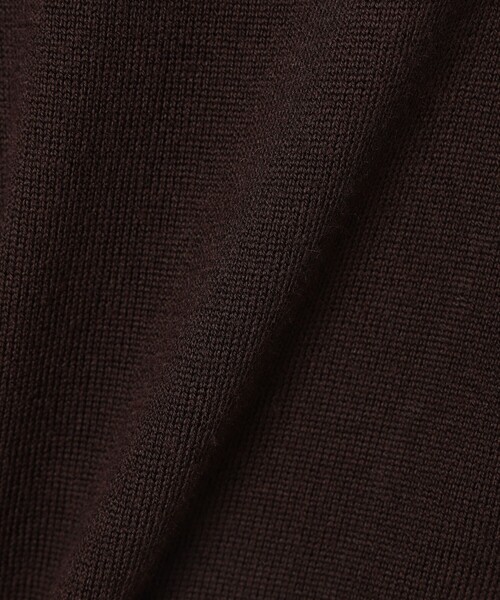 BEAMS GOLF(ビームスゴルフ)の「〈WOMEN〉【別注】LACOSTE / ロングスリーブ ニット ポロ(ポロシャツ・レディース・レッド系その他7/ブラック/グレー/ブラウン・XS)」の14枚目の写真