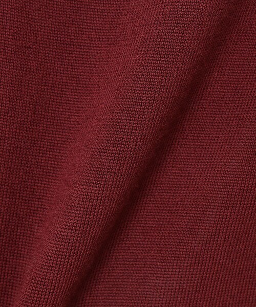 BEAMS GOLF(ビームスゴルフ)の「〈WOMEN〉【別注】LACOSTE / ロングスリーブ ニット ポロ(ポロシャツ・レディース・レッド系その他7/ブラック/グレー/ブラウン・XS)」の17枚目の写真