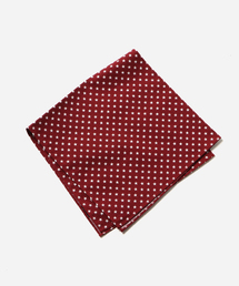 SHIPS | SHIPS KIDS:プリント ハンカチ(ハンカチ/ハンドタオル)