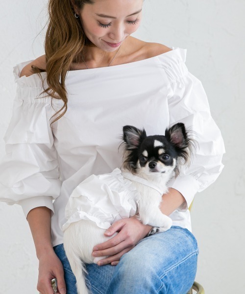 デザインスリーブオフショルブラウス (セット)