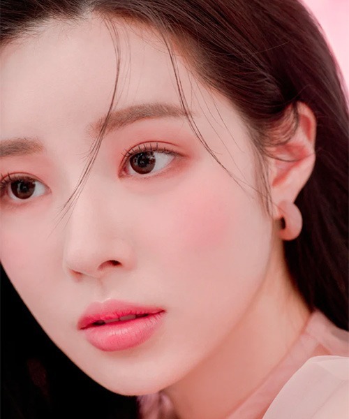 2aN（トゥーエーエヌ）の「[2aN] デュアルチーク（チーク・レディース・その他1/その他2/その他3/その他5/その他4・ONE SIZE）」の17枚目の写真