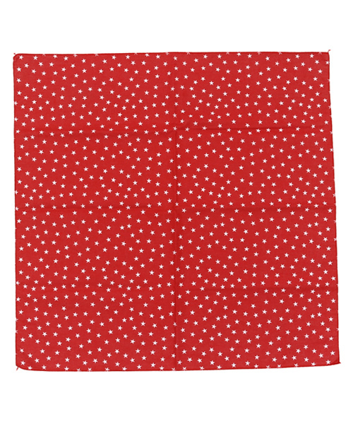SHIPS（シップス）の「CAROLINA:STARS BANDANA（バンダナ/スカーフ・キッズ・ホワイト/レッド・ONE SIZE）」の2枚目の写真