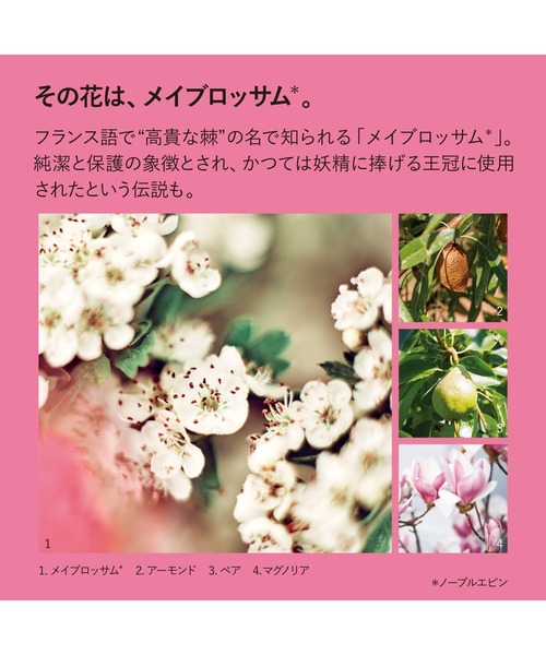 L'OCCITANE（ロクシタン）の「ノーブルエピン オードパルファム 50mL
