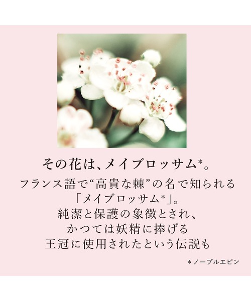 L'OCCITANE（ロクシタン）の「ノーブルエピン オードパルファム 50mL