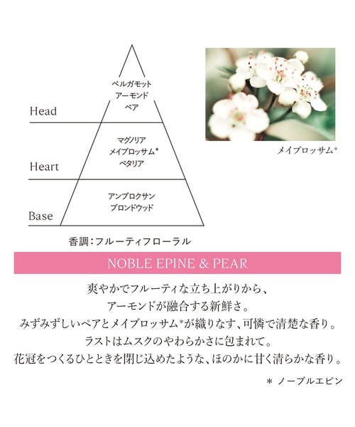 L'OCCITANE（ロクシタン）の「ノーブルエピン オードパルファム 50mL