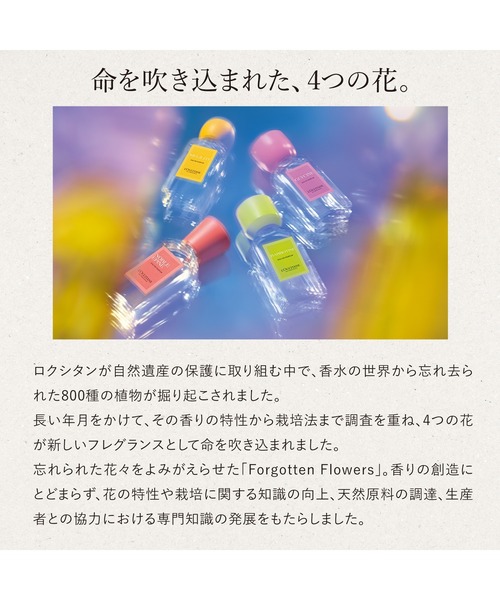 L'OCCITANE（ロクシタン）の「ノーブルエピン オードパルファム 50mL