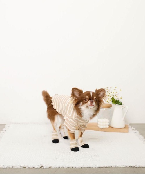 moncheri（モンシェリ）の「[ moncheri  モンシェリ ] ネオプレンペットシューズ / 犬 犬用 靴 シューズ ペット用品（その他ペットグッズ・レディース・ベージュ・S/M/L）」の3枚目の写真