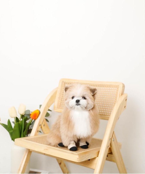 moncheri（モンシェリ）の「[ moncheri  モンシェリ ] ネオプレンペットシューズ / 犬 犬用 靴 シューズ ペット用品（その他ペットグッズ・レディース・ベージュ・S/M/L）」の4枚目の写真