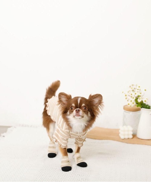 moncheri（モンシェリ）の「[ moncheri  モンシェリ ] ネオプレンペットシューズ / 犬 犬用 靴 シューズ ペット用品（その他ペットグッズ・レディース・ベージュ・S/M/L）」の6枚目の写真