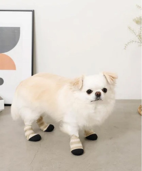 moncheri（モンシェリ）の「[ moncheri  モンシェリ ] ネオプレンペットシューズ / 犬 犬用 靴 シューズ ペット用品（その他ペットグッズ・レディース・ベージュ・S/M/L）」の17枚目の写真