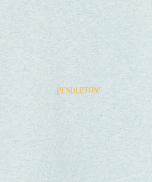 PENDLETON（ペンドルトン）の「PENDLETON/ペンドルトン L/SバックプリントTee【Unisex】（Tシャツ/カットソー・レディース・ミント/ピンク/ホワイト/ホワイト系その他/ブラック・MEDIUM/LARGE）」の16枚目の写真