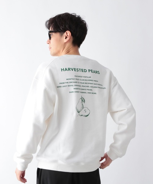 GLOBAL WORK（グローバルワーク）の「グラフィックスウェットプルオーバー/611146（スウェット・メンズ・ホワイト系その他3/チャコールグレー/ブラック/ホワイト系その他2/ホワイト/ネイビー・SMALL/MEDIUM/LARGE/X-LARGE）」の10枚目の写真