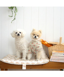 LICO HOUSE（リコハウス）の「レース犬ピクニック散歩マット（その他ペットグッズ）」