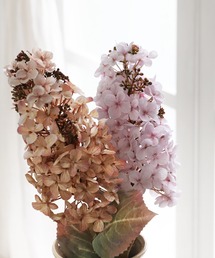 a.depeche（アデペシュ）の「【a.depeche/アデペシュ】アーティフィシャルフラワー（造花）　colorer ノリウツギ PK（フラワーベース）」