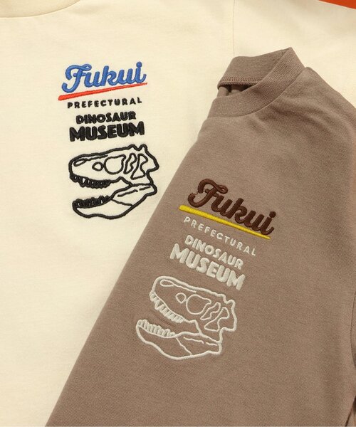 BREEZE(ブリーズ)の「【リンク】福井県立恐竜博物館コラボ FPDM半袖T(大人)(Tシャツ/カットソー・メンズ・オフホワイト/ブラウン・SMALL/MEDIUM/LARGE)」の14枚目の写真