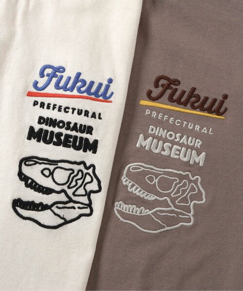 BREEZE(ブリーズ)の「【リンク】福井県立恐竜博物館コラボ FPDM半袖T(大人)(Tシャツ/カットソー・メンズ・オフホワイト/ブラウン・SMALL/MEDIUM/LARGE)」の8枚目の写真